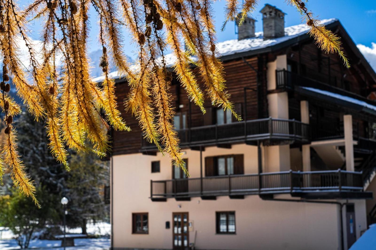 Alpine Forest Hotel Champoluc Ngoại thất bức ảnh
